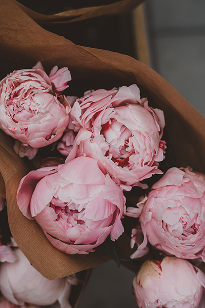 Pink Peonies from top point of view.